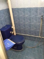 Blk 533 Bukit Batok Street 51 (Bukit Batok), HDB 3 Rooms #594064671